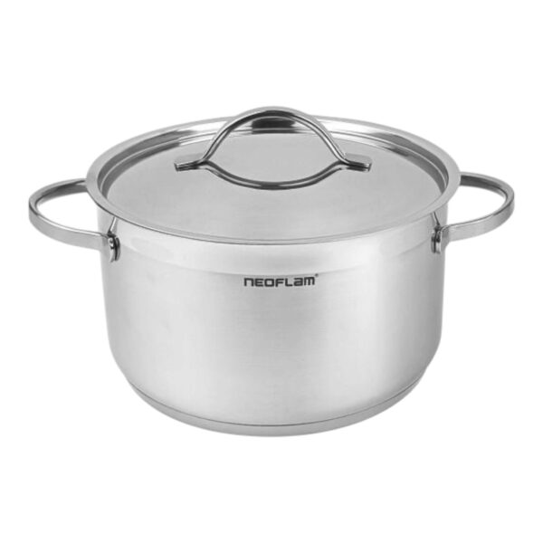 Neoflam Stainless Steel Pot  22 cm